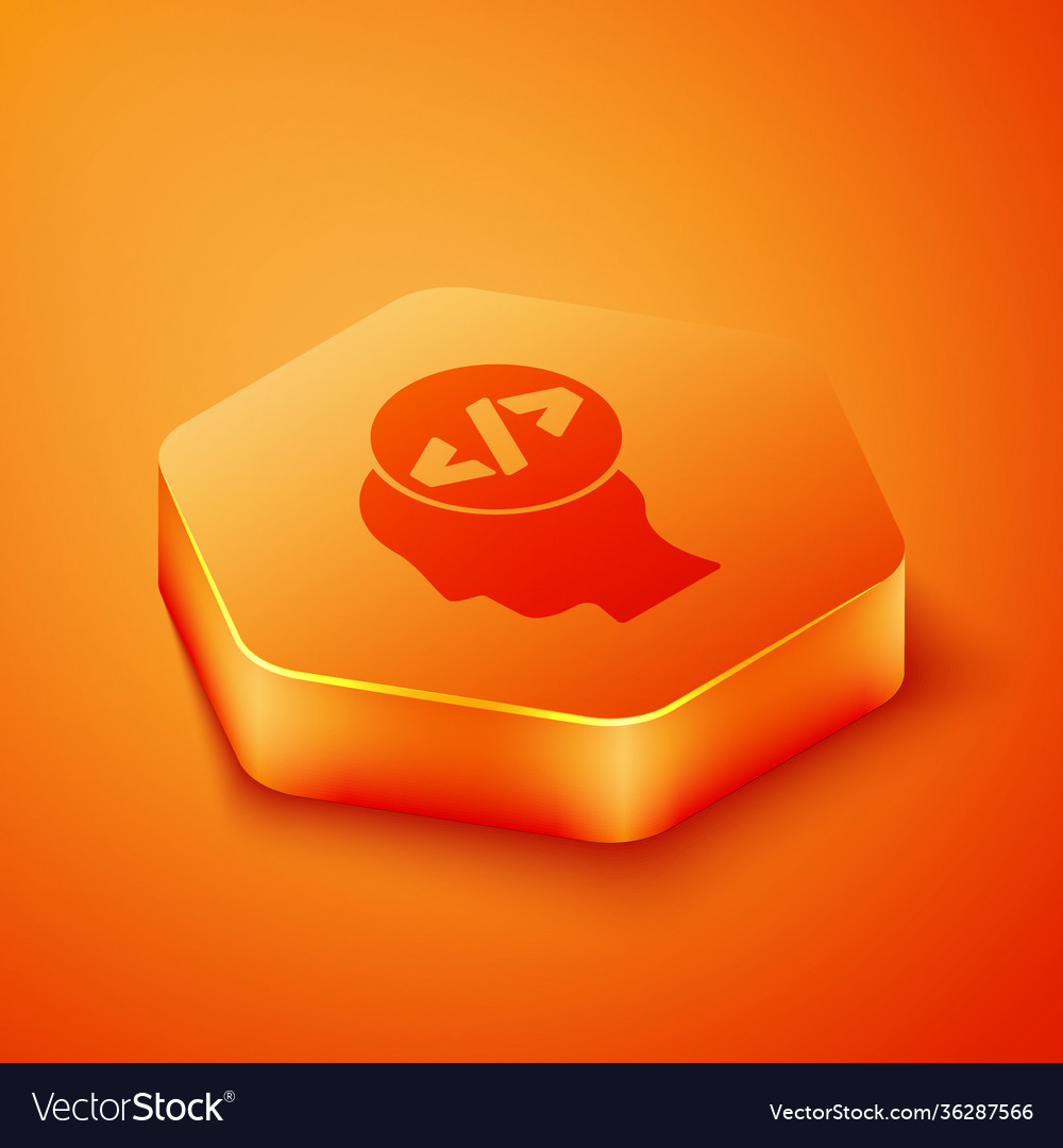 Isometric web design and front end development vector image Isometric web design and front end development