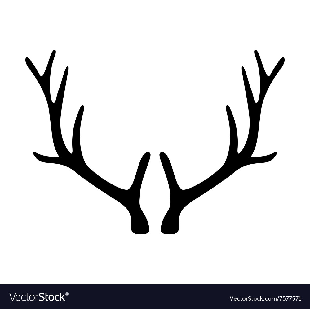 Horn antler deals