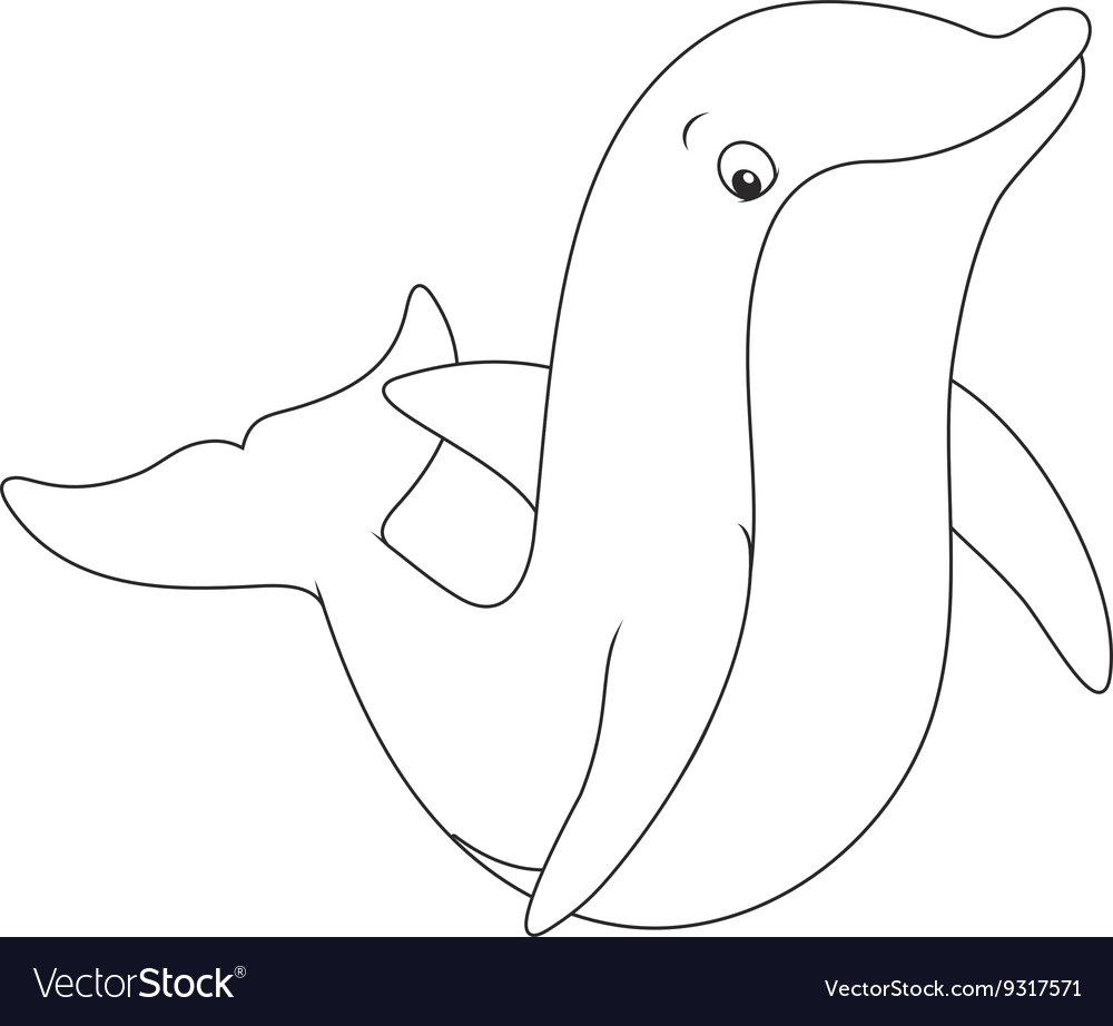 Dolphin