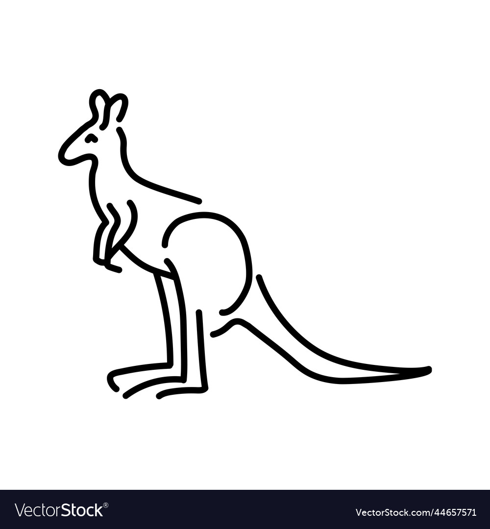 Kangaroos color line animals Royalty Free Vector Image