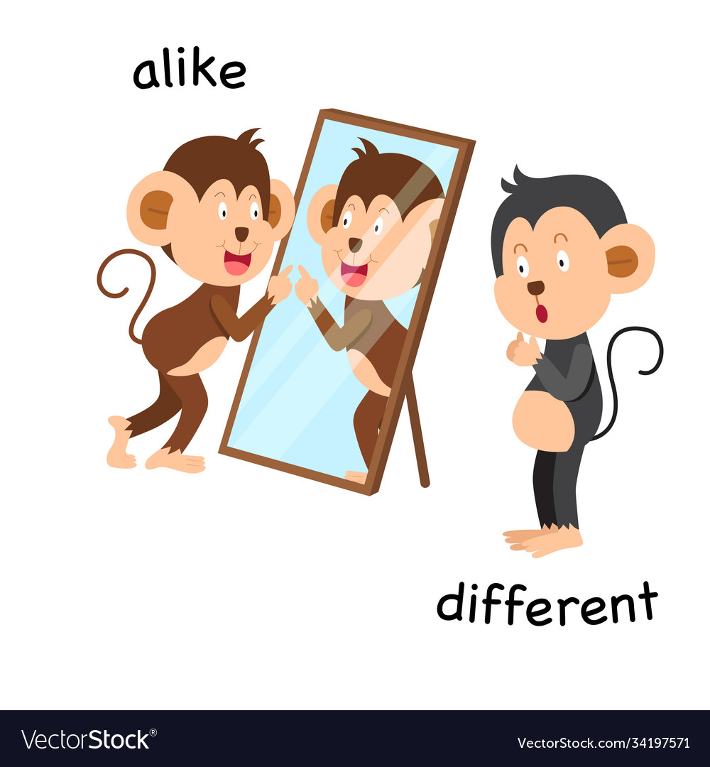 opposite-alike-and-different-royalty-free-vector-image