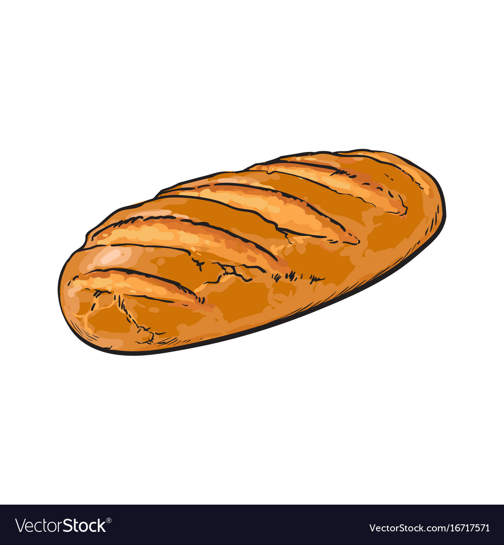 Loaf Of Bread Drawing Coloring picture of bread coloring page loaf of