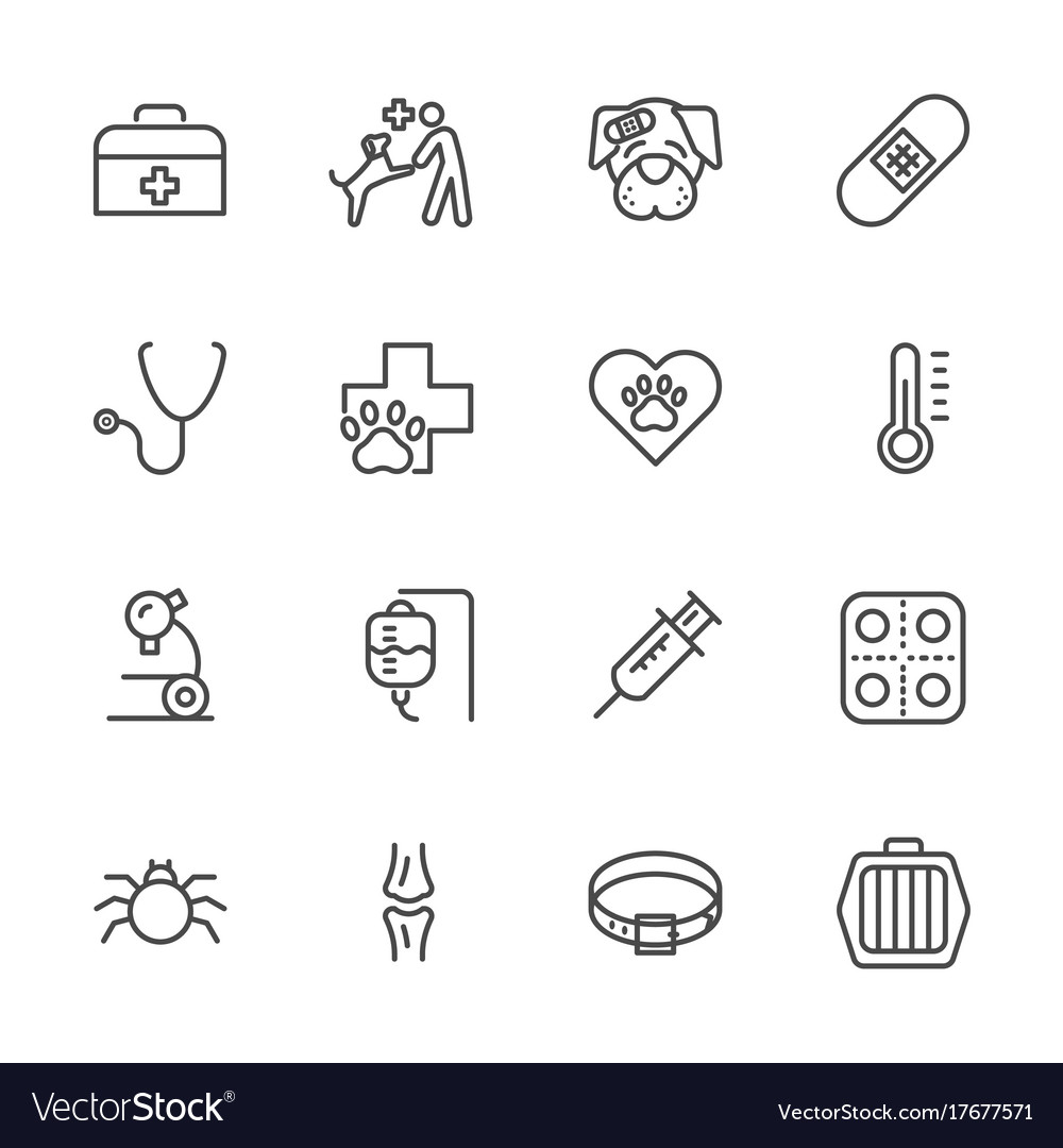 veterinarian medicine