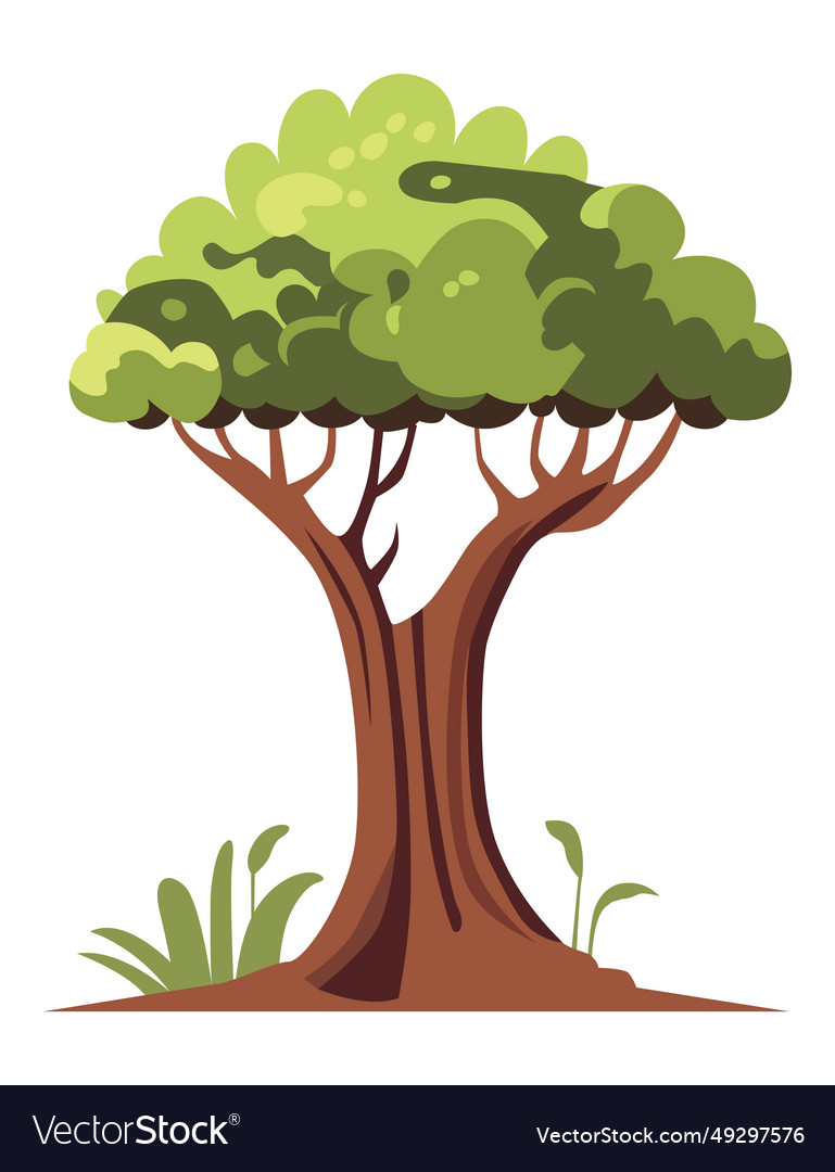 Cartoon style bonsai tree colorful vector image Cartoon style bonsai tree colorful