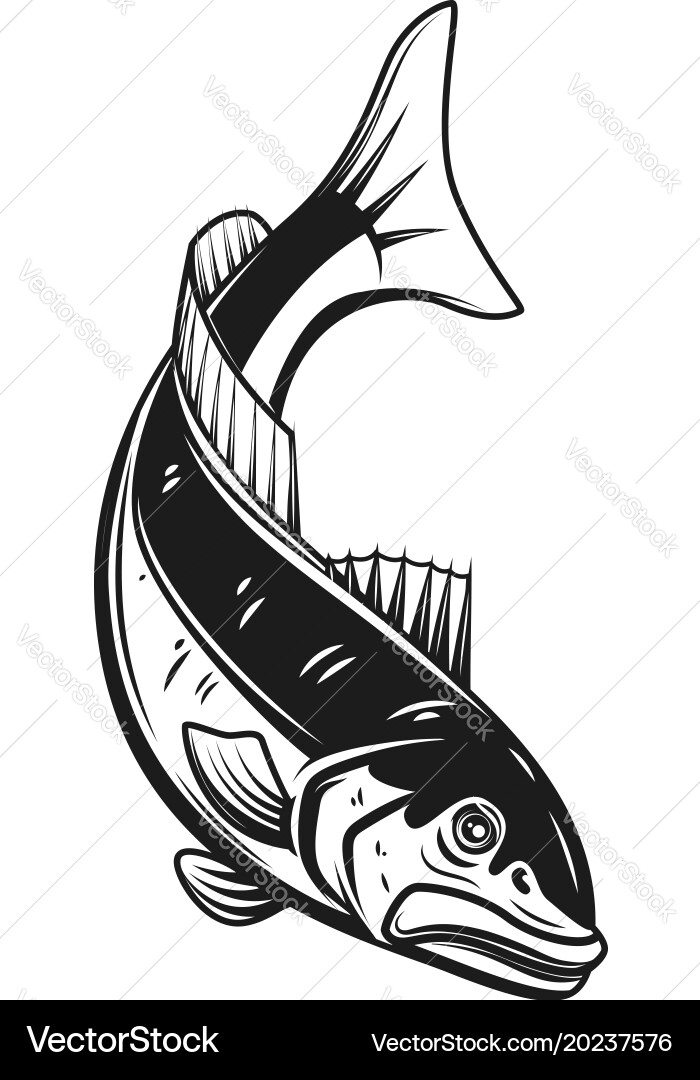 Codfish icon isolated on white background design Vector Image