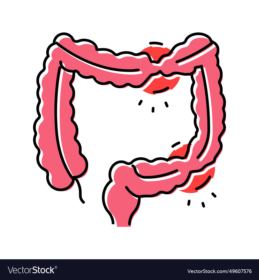 Irritable bowel syndrome color icon