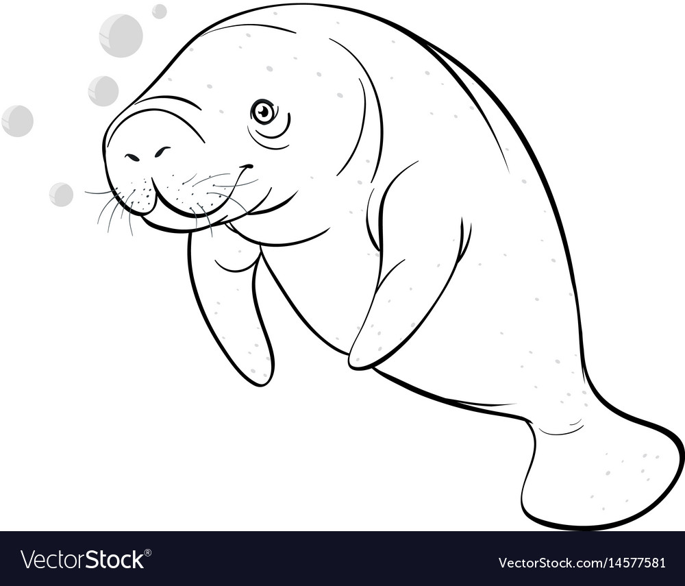 Animal outline for seacow Royalty Free Vector Image