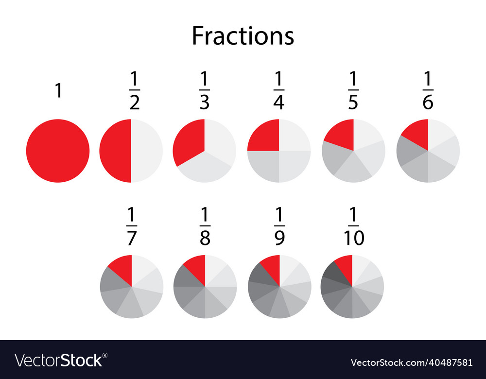 Red circle fractions segment infographic info vector image Red circle fractions segment infographic info