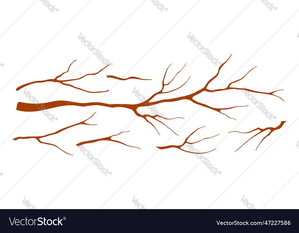Tree branches twigs sticks elements collection vector image Tree branches twigs sticks elements collection