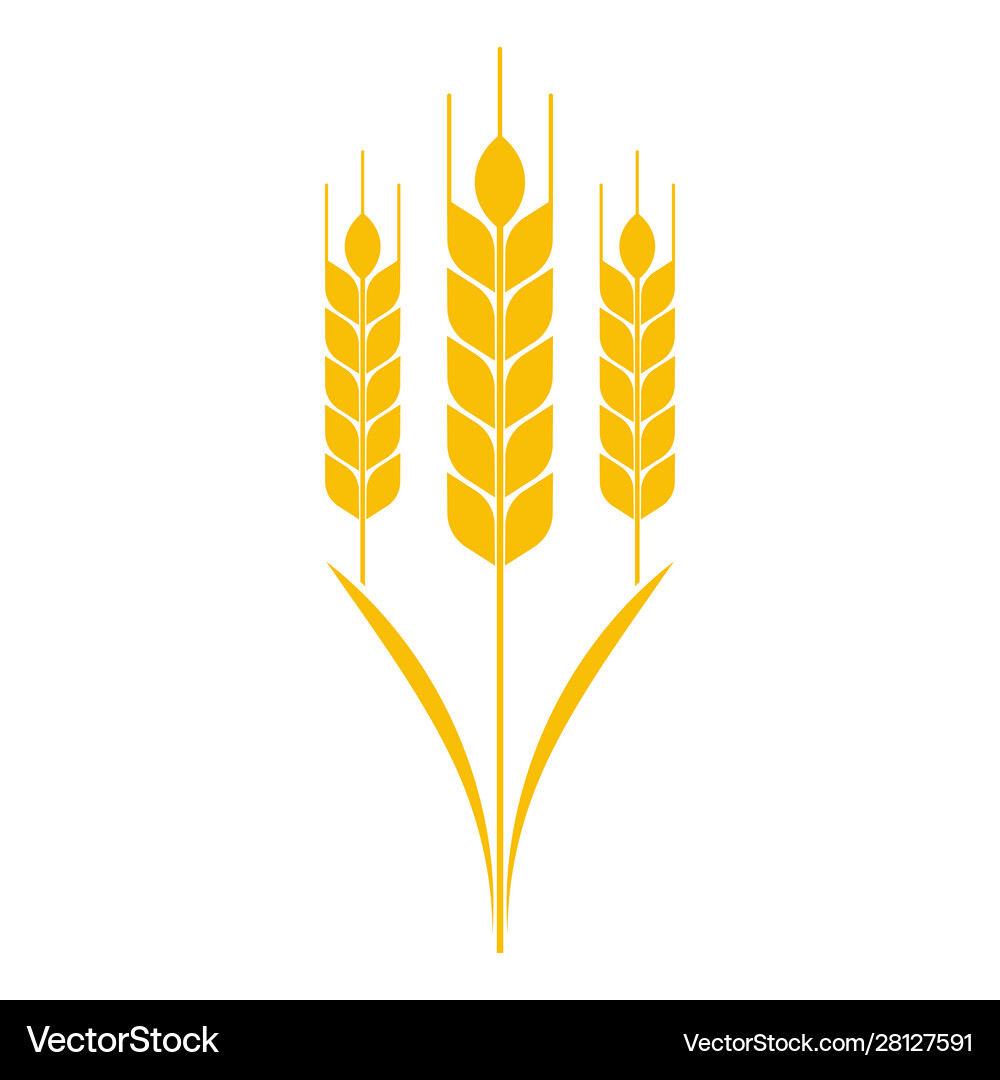 Ears wheat icon Royalty Free Vector Image - VectorStock