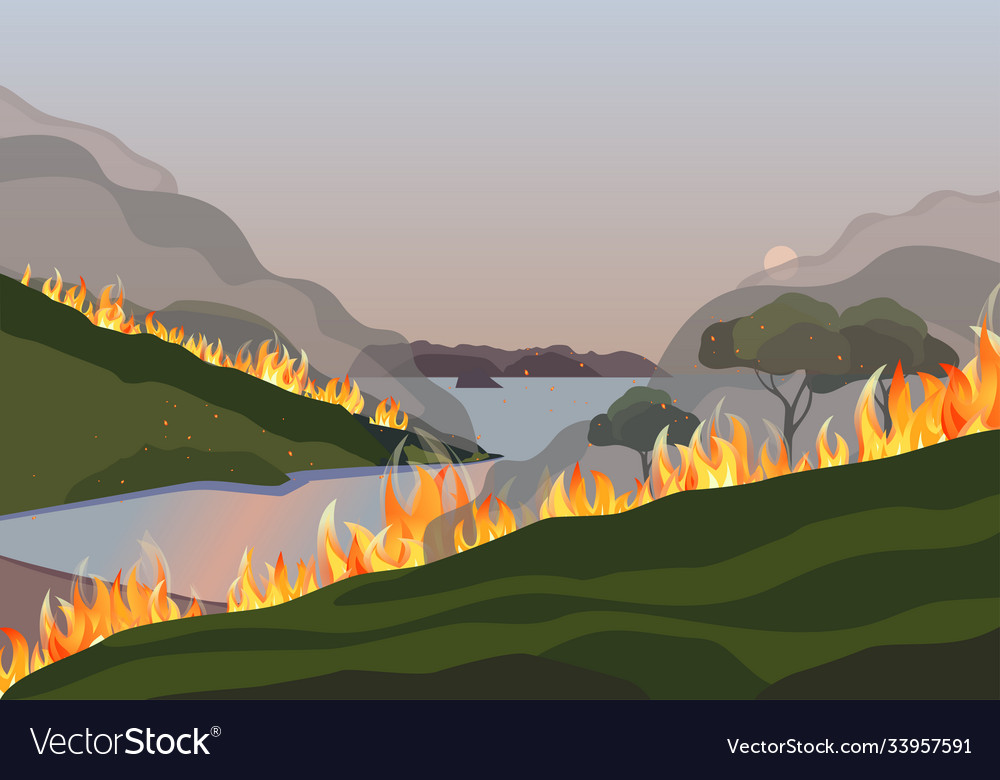 Waldbrände Katastrophe Berg Bäume flach