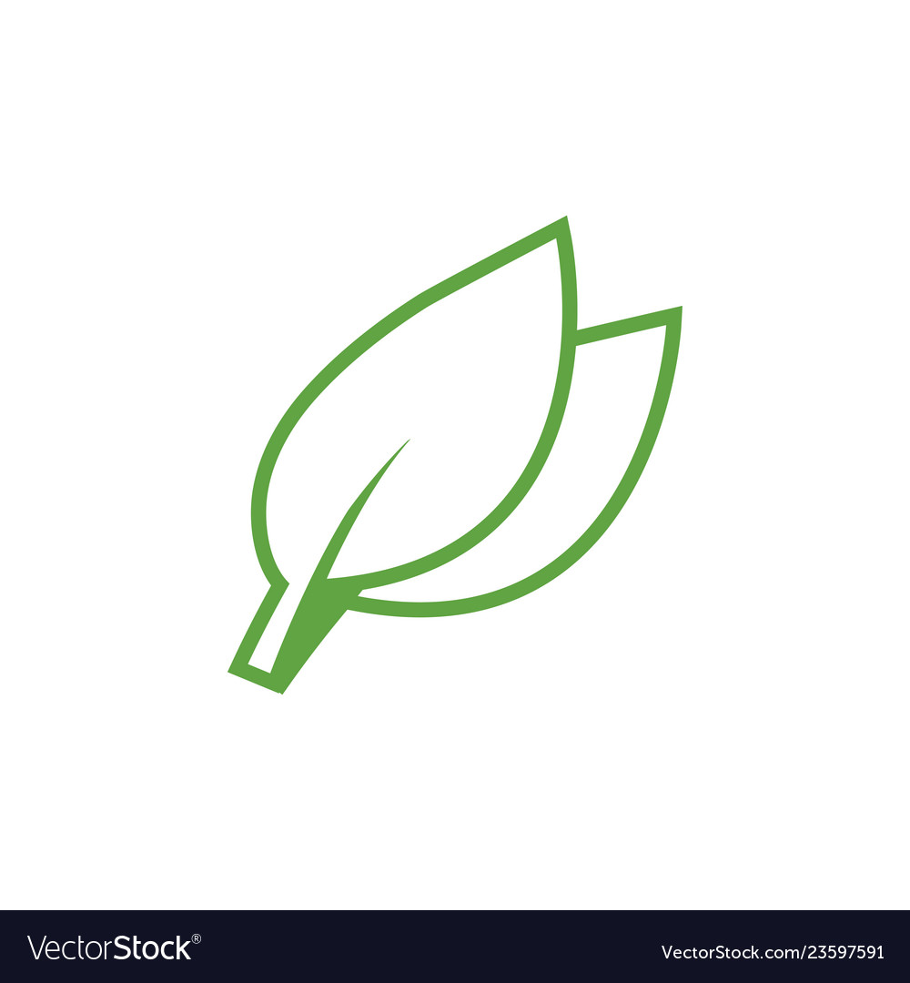 Green leaf icon graphic design template Royalty Free Vector