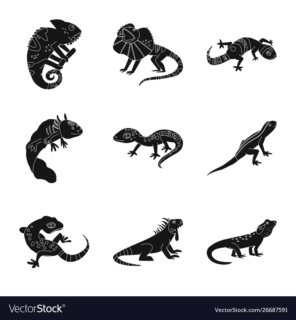 Isolated object zoo and environment logo set vector image Isolated object zoo and environment logo set