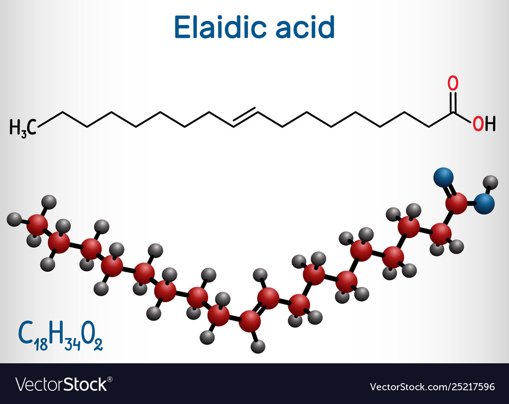 Elaidic acid molecule structural chemical formula Vector Image