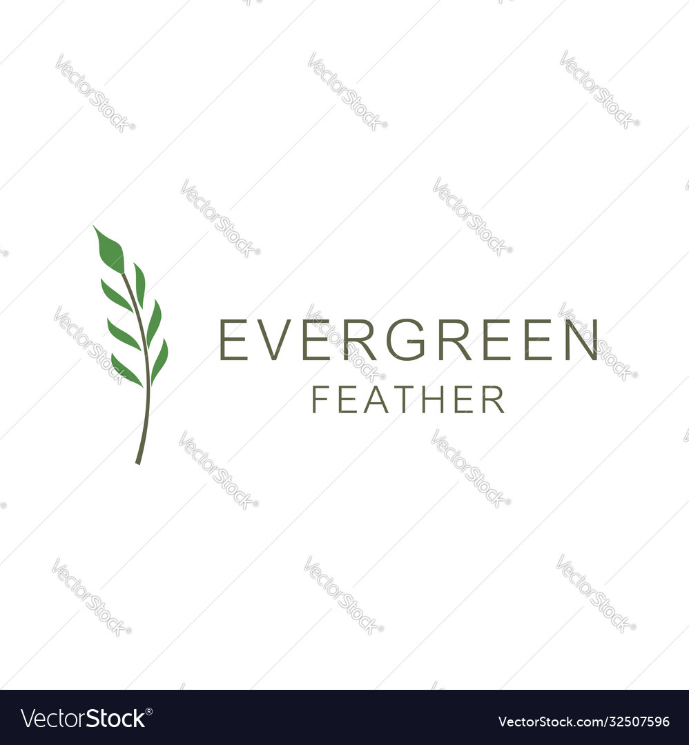 Forest Tree Logo - Conifer & Hemlock