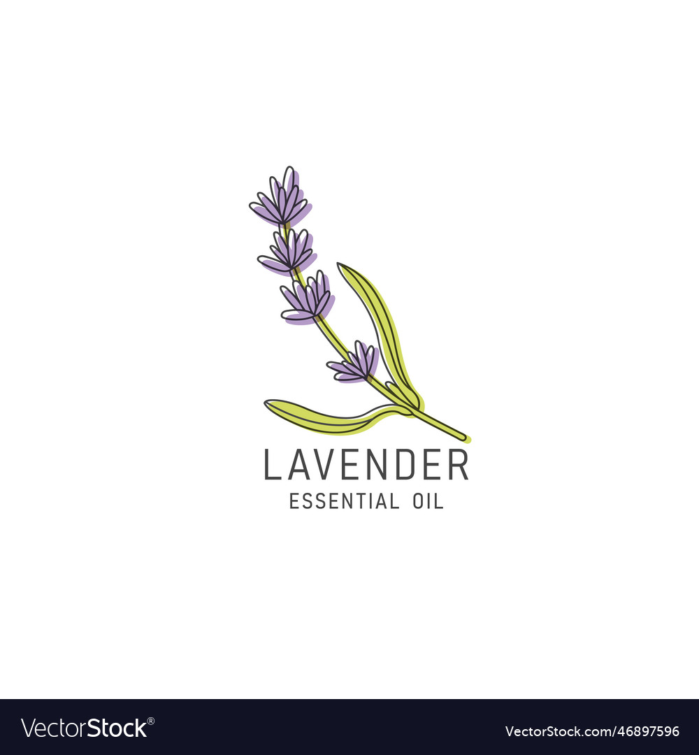 Packaging design element and icon in linear style vector image Packaging design element and icon in linear style