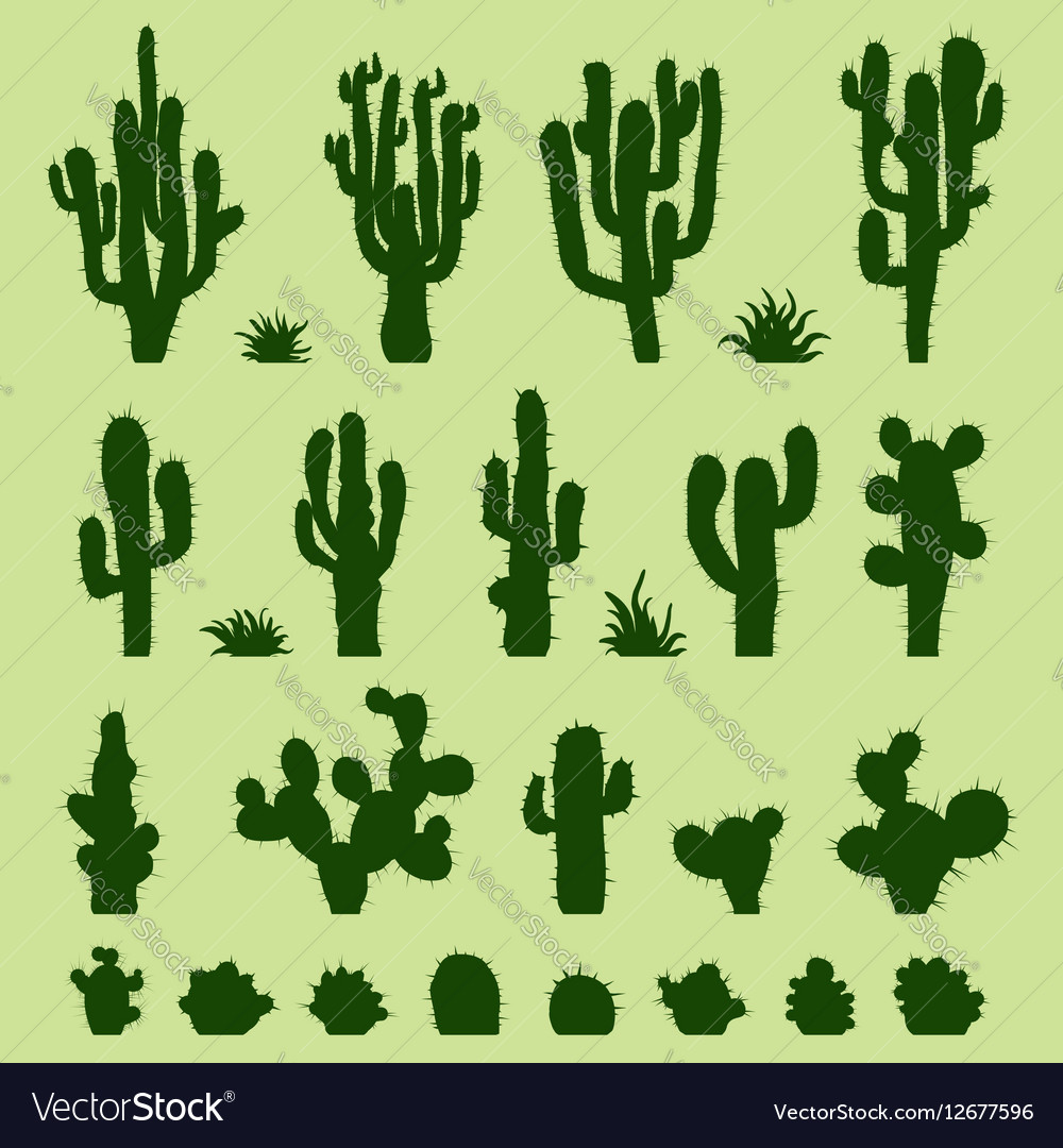 Set of green cacti