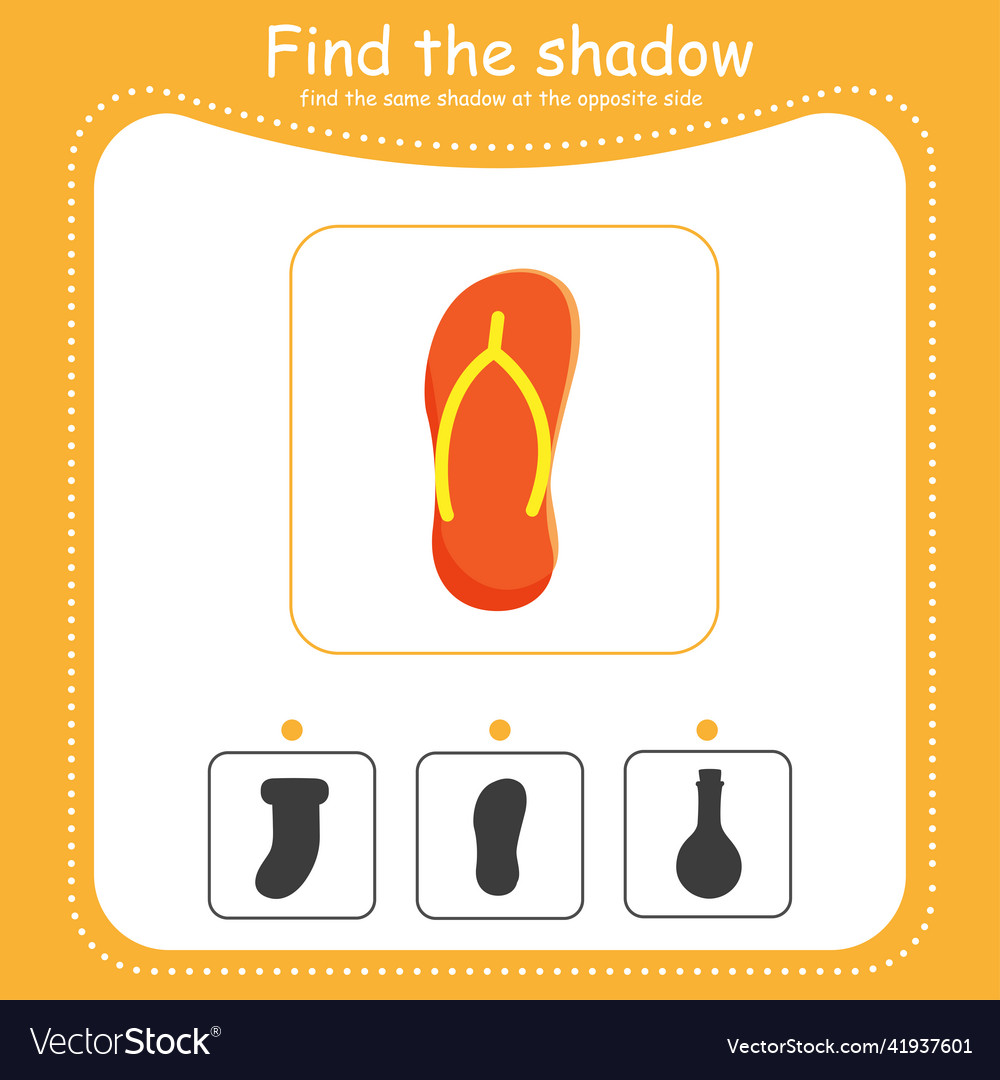 Find the correct shadow slate vector image Find the correct shadow slate