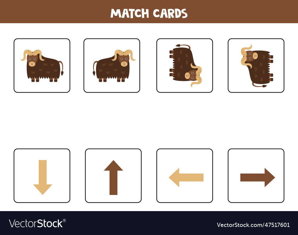 Left right up or down spatial orientation