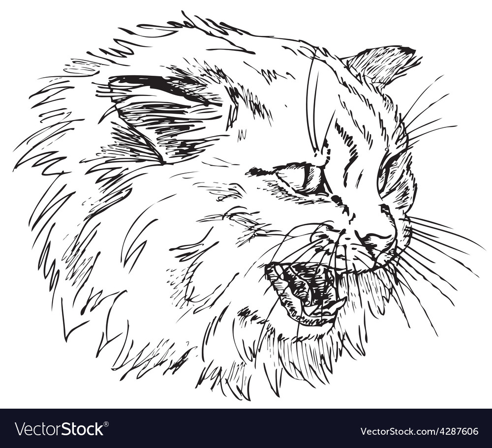 Black cat angry face hand drawn Royalty Free Vector Image