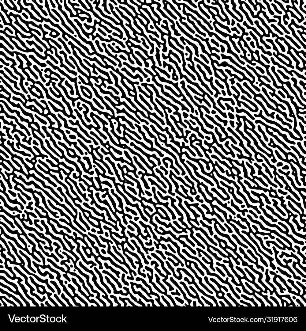 Geometric Turing Pattern Black and white turing pattern geometric pattern Vector Image