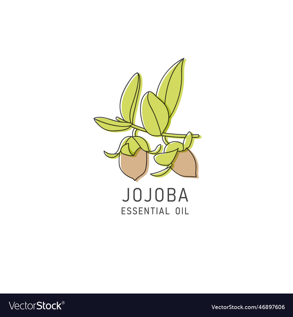 Packaging design element and icon in linear style