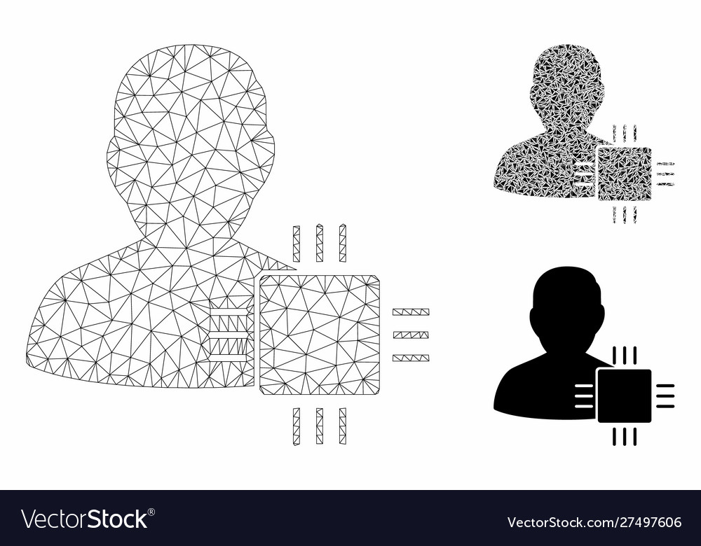 System developer mesh network model vector image System developer mesh network model
