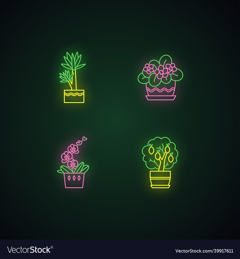 Decorative indoor plants neon light icons set