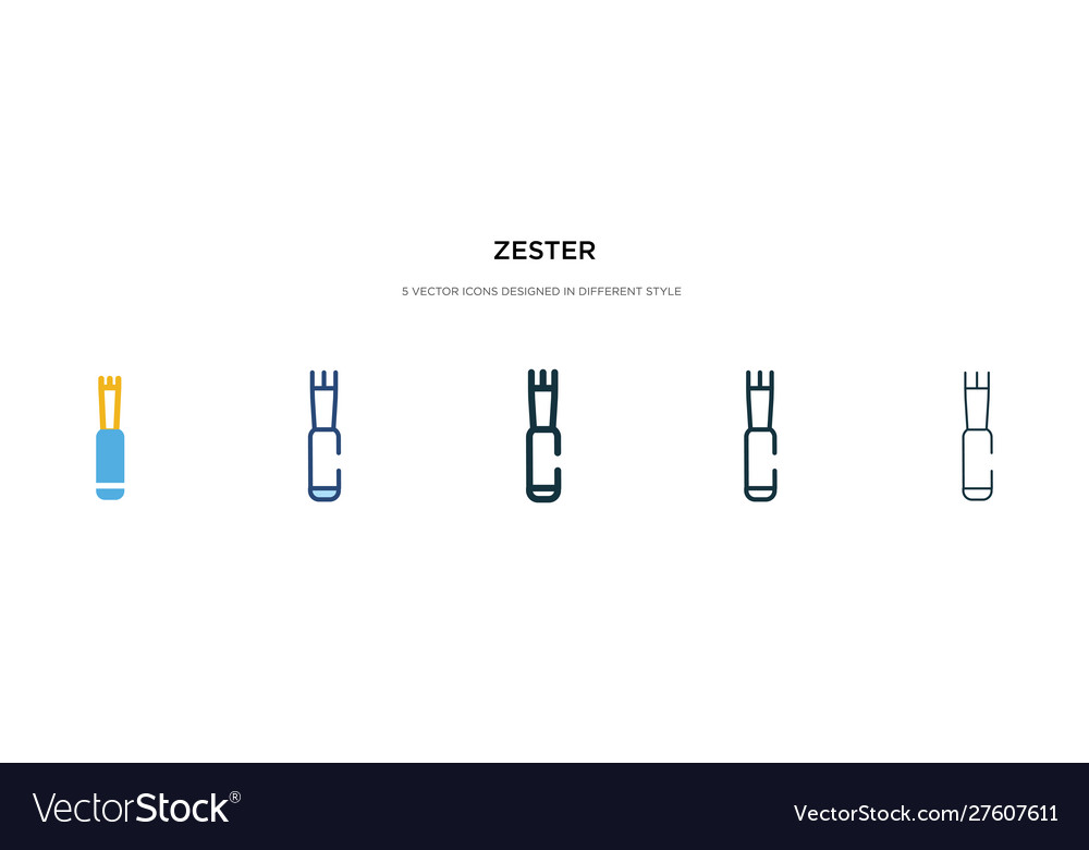 Zester icon in different style two colored vector image Zester icon in different style two colored