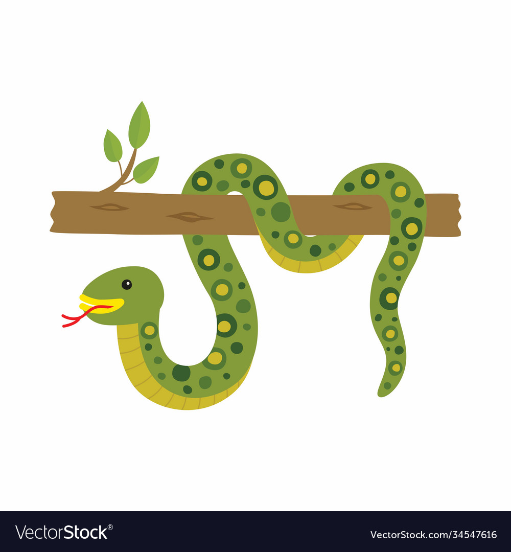 Anaconda on a tree isolated Royalty Free Vector Image