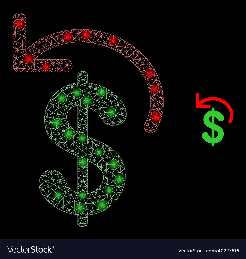 Mesh net dollar refund with illumitated vector image Mesh net dollar refund with illumitated