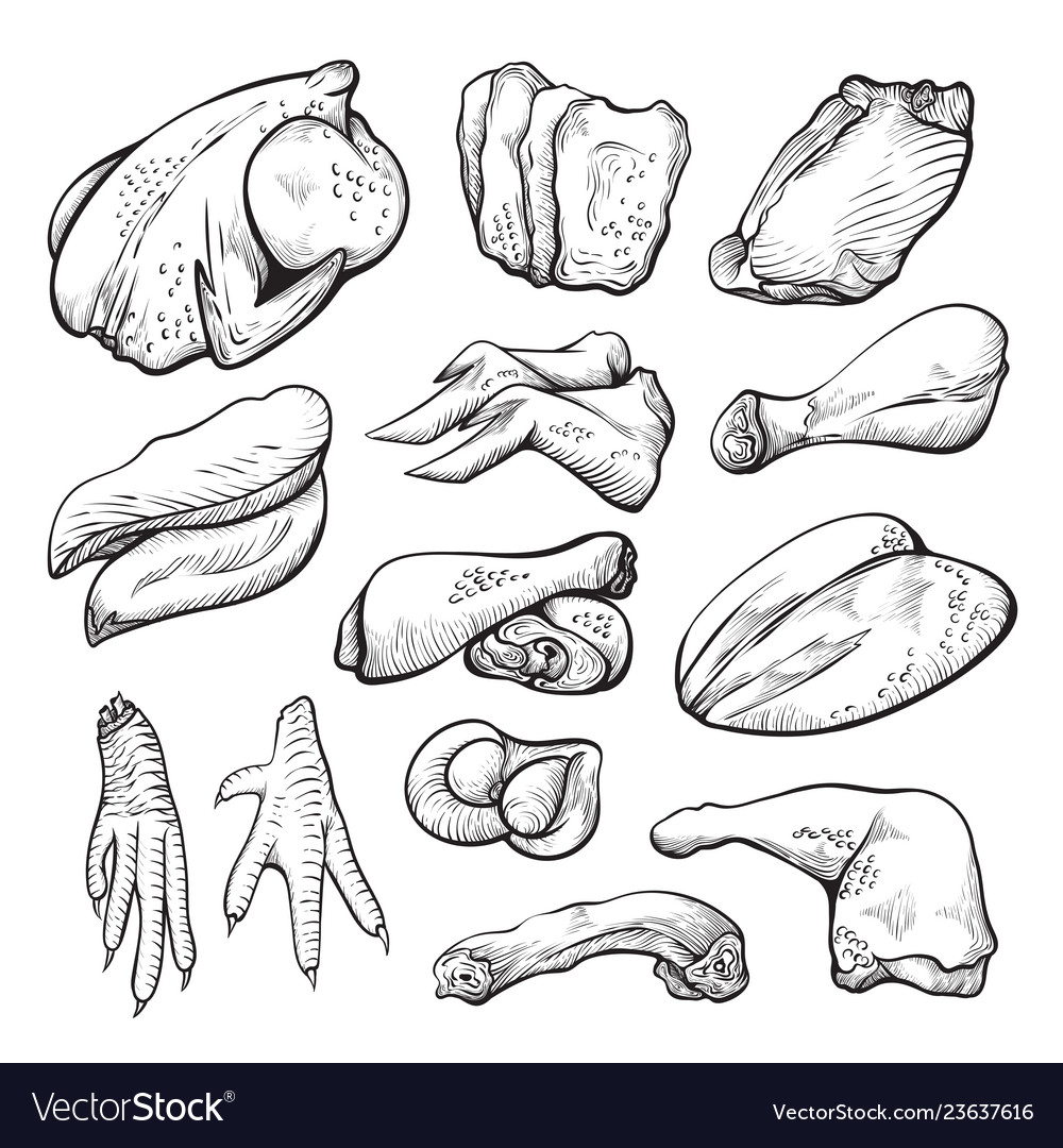 Update more than 80 chicken meat sketch best - in.eteachers