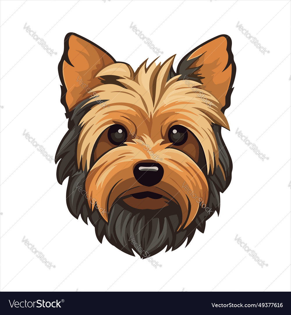 Silky terrier dog breed cute cartoon kawaii Vector Image