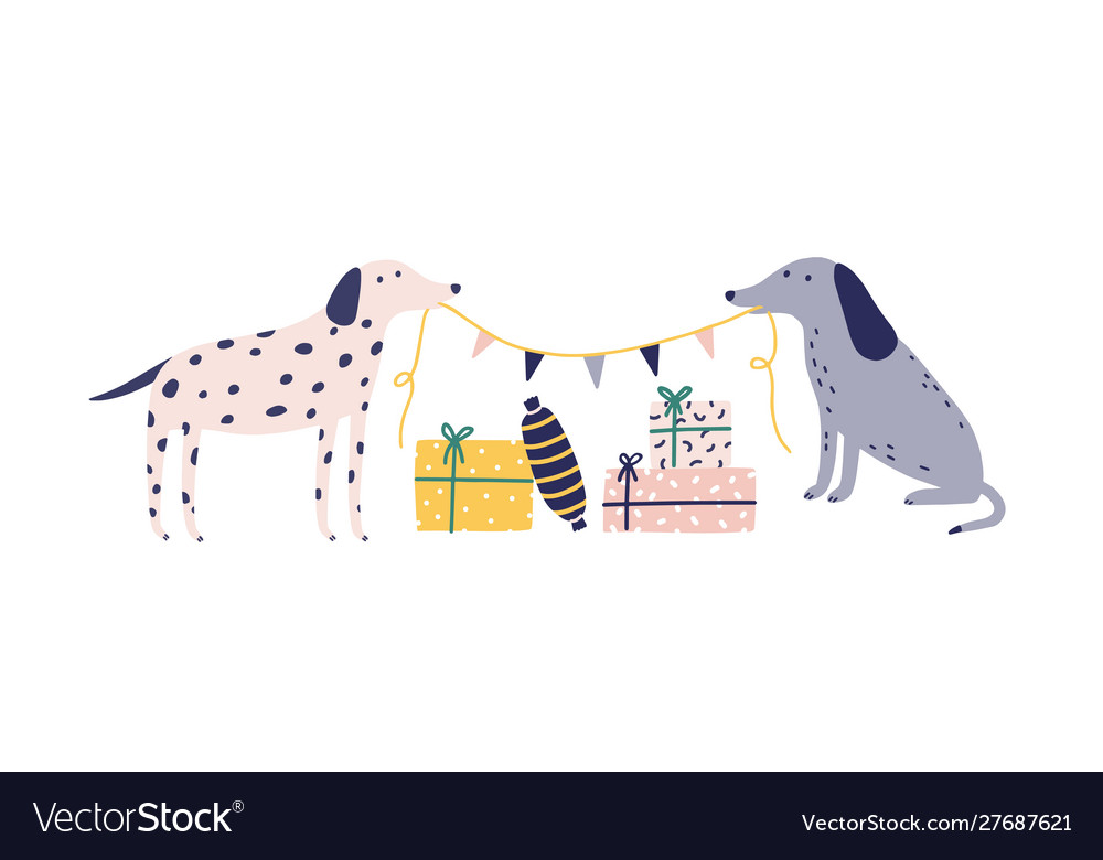 dog christmas gift box