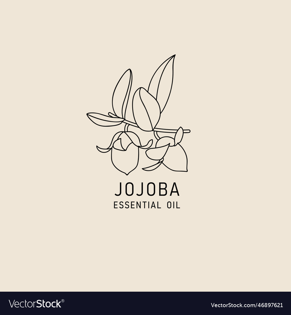 Packaging design element and icon in linear style