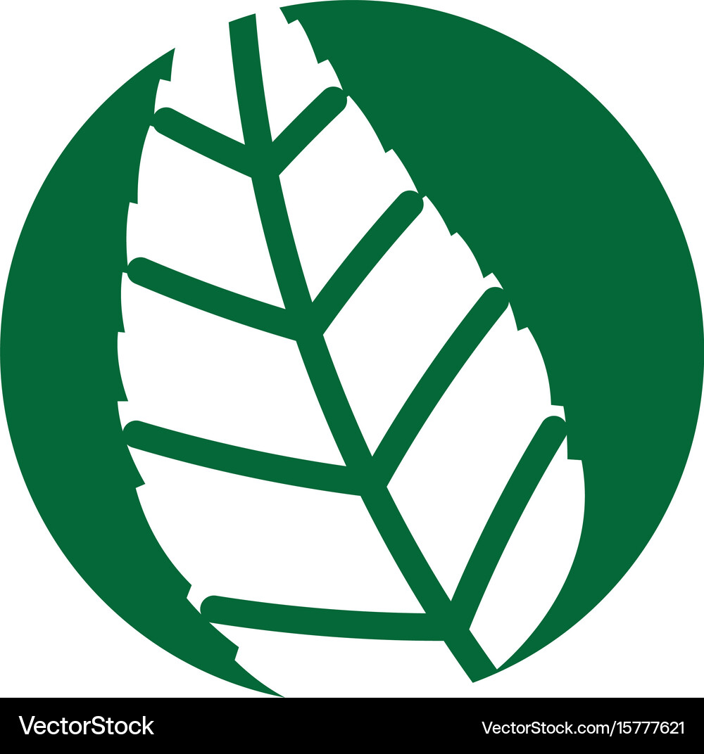 Tea leafs product icon Royalty Free Vector Image