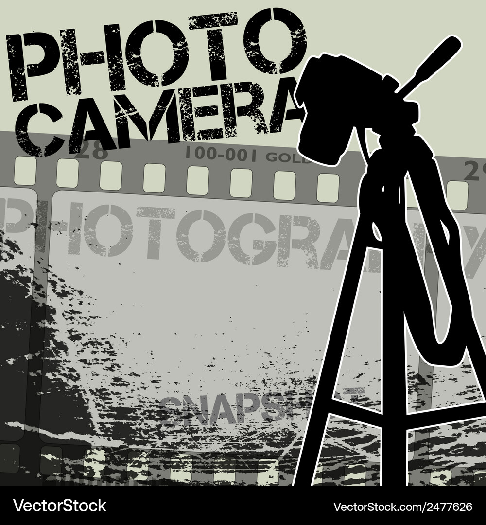Photo camera Royalty Free Vector Image - VectorStock