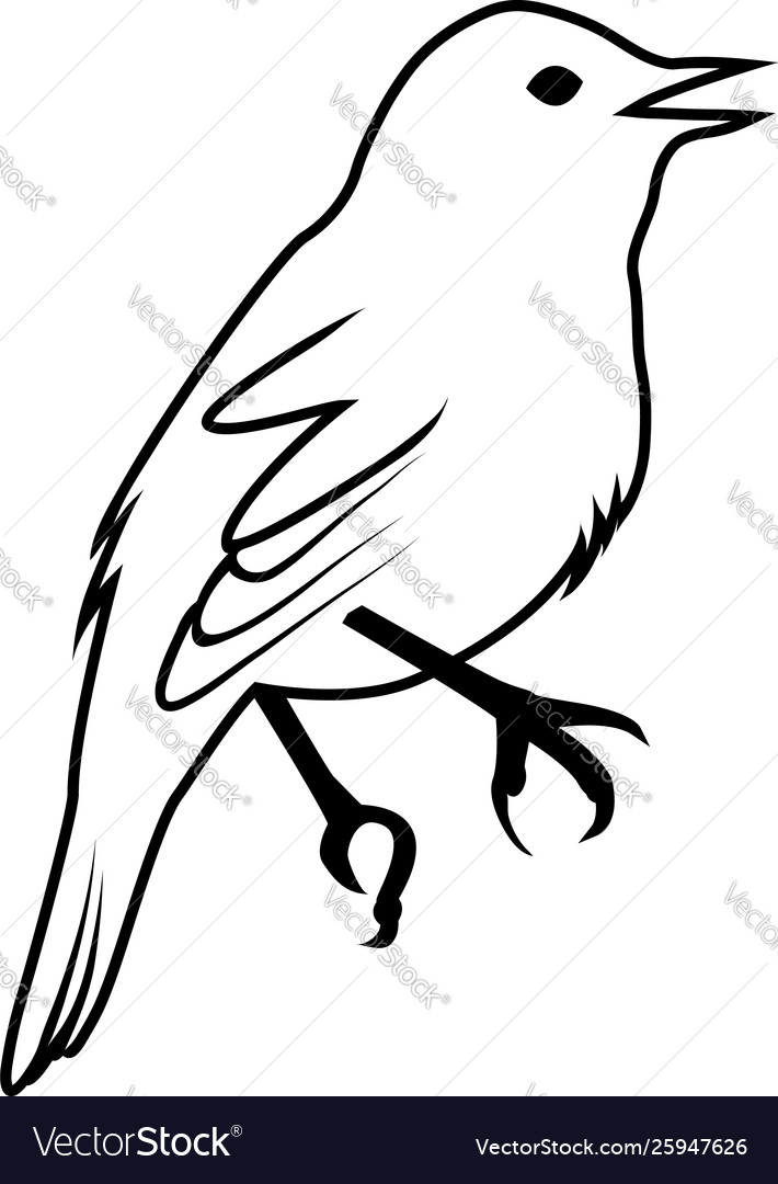 Sketch bird Royalty Free Vector Image - VectorStock