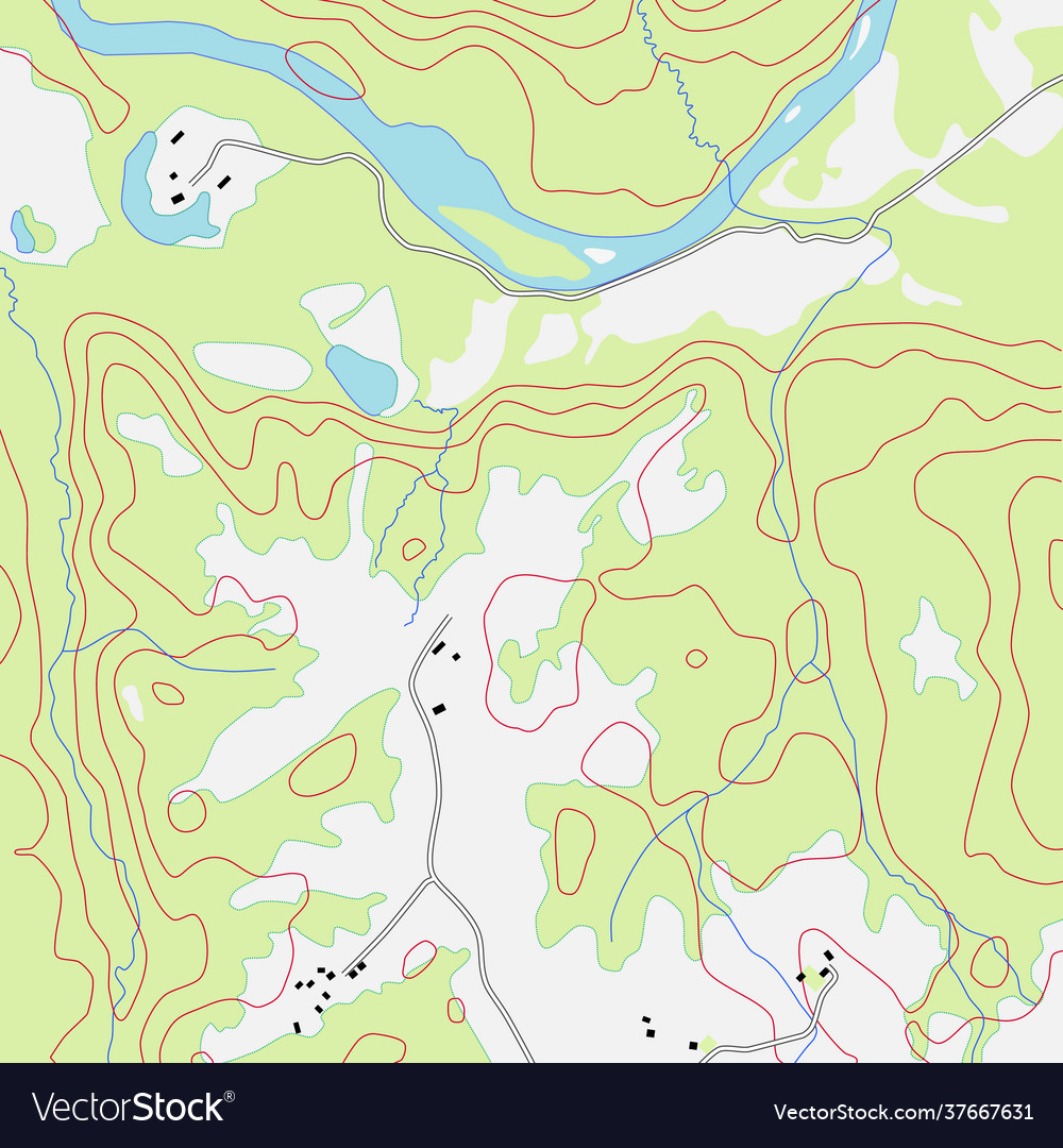 Topographic map background vector image Topographic map background