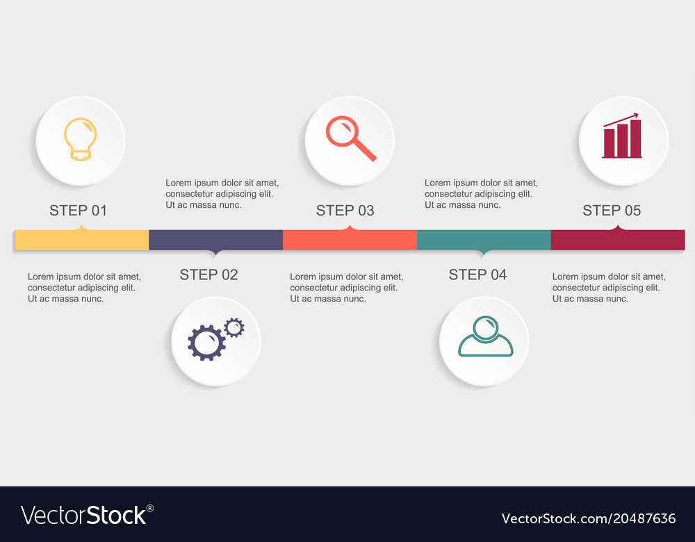 Business infographic template