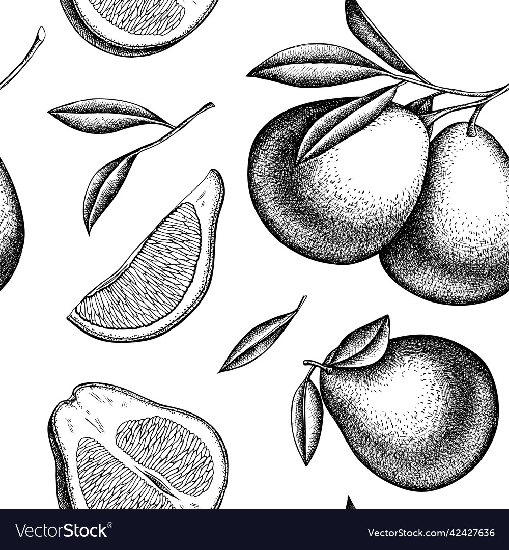 Citrus seamless pattern background design