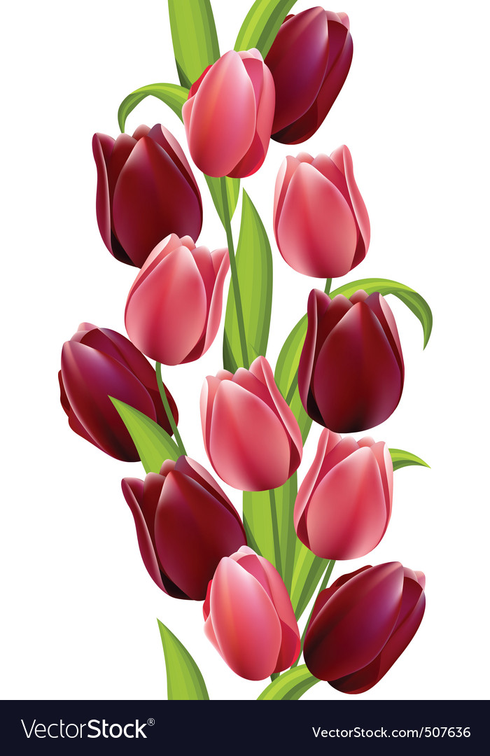 Tulip Seamless Floral Pattern