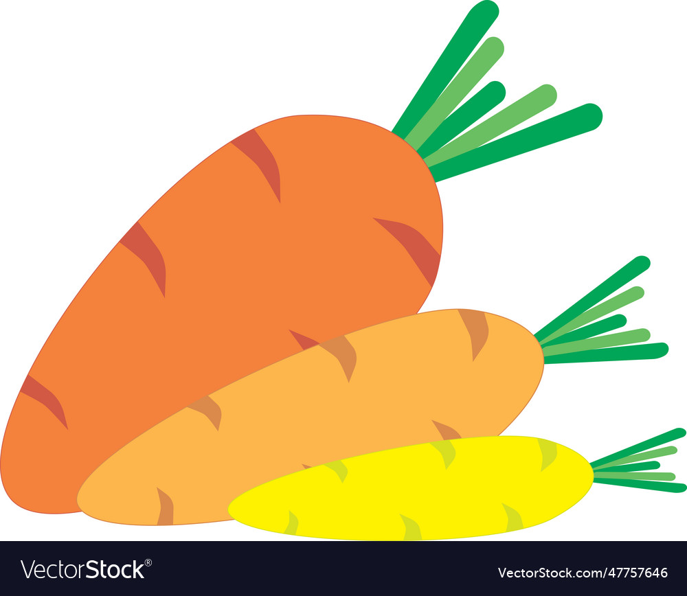 Carrot on empty background vector image Carrot on empty background
