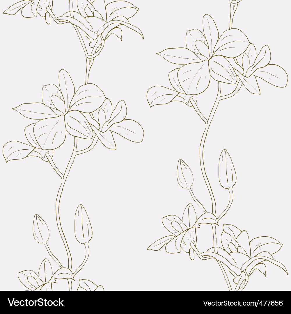 Seamless background with orchids Royalty Free Vector Image