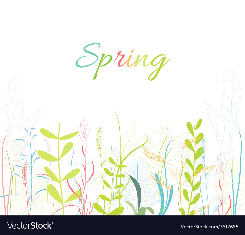 Spring florals flower background