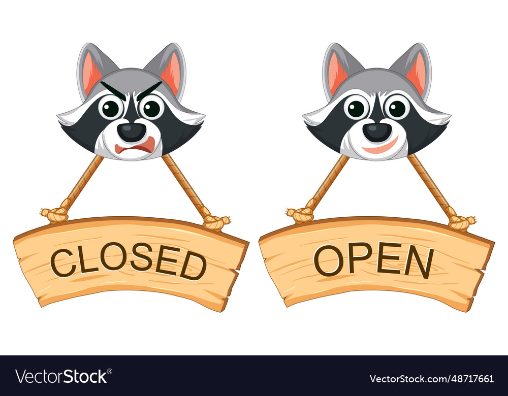 Closed and open sign banner with raccoon face Vector Image