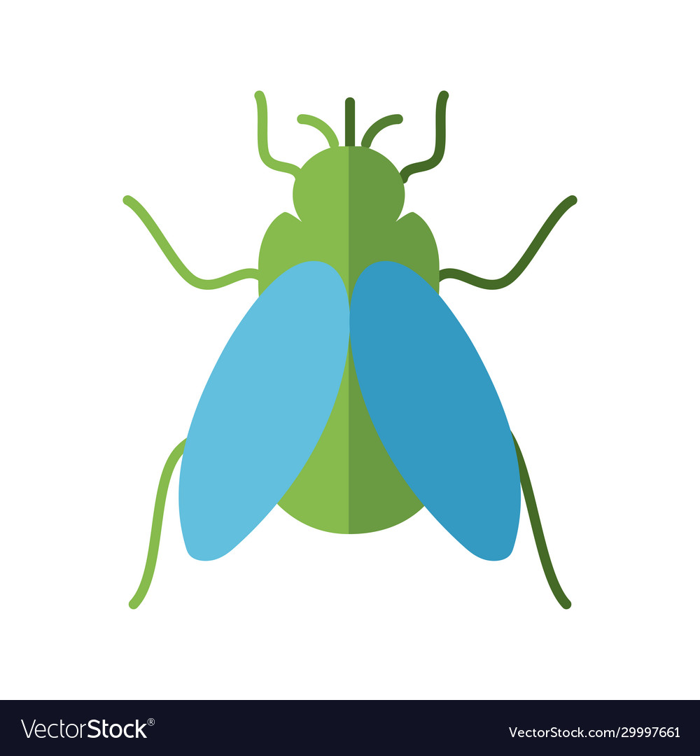 Fly insect flat style icon Royalty Free Vector Image