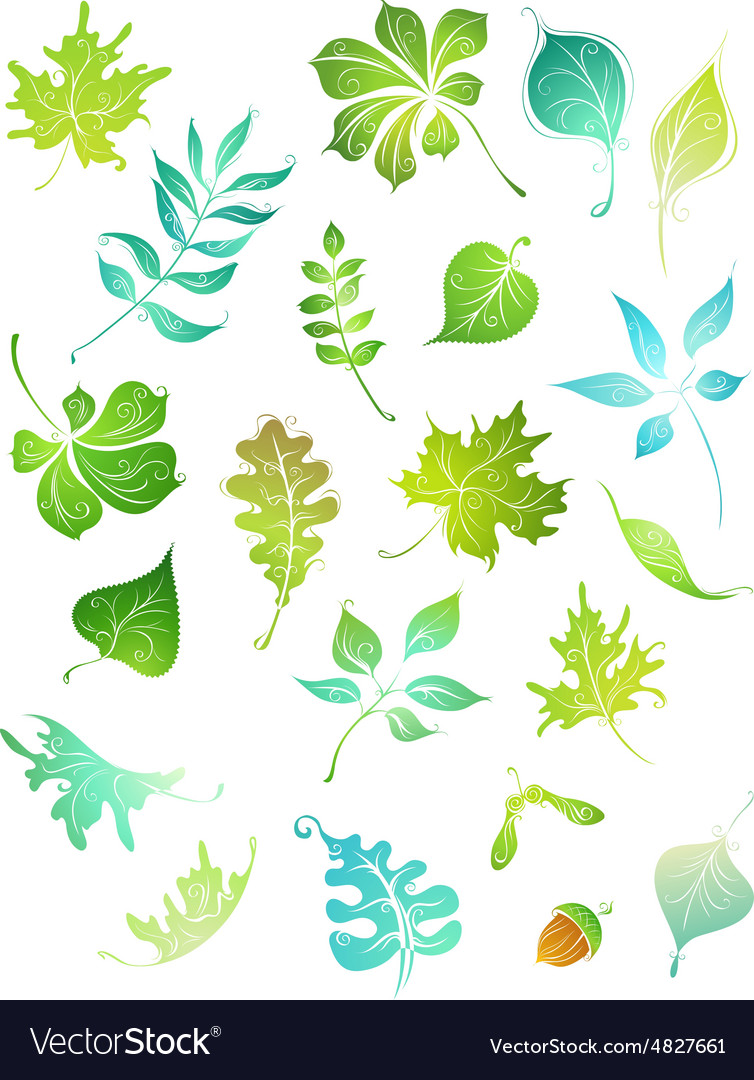 Green leaves