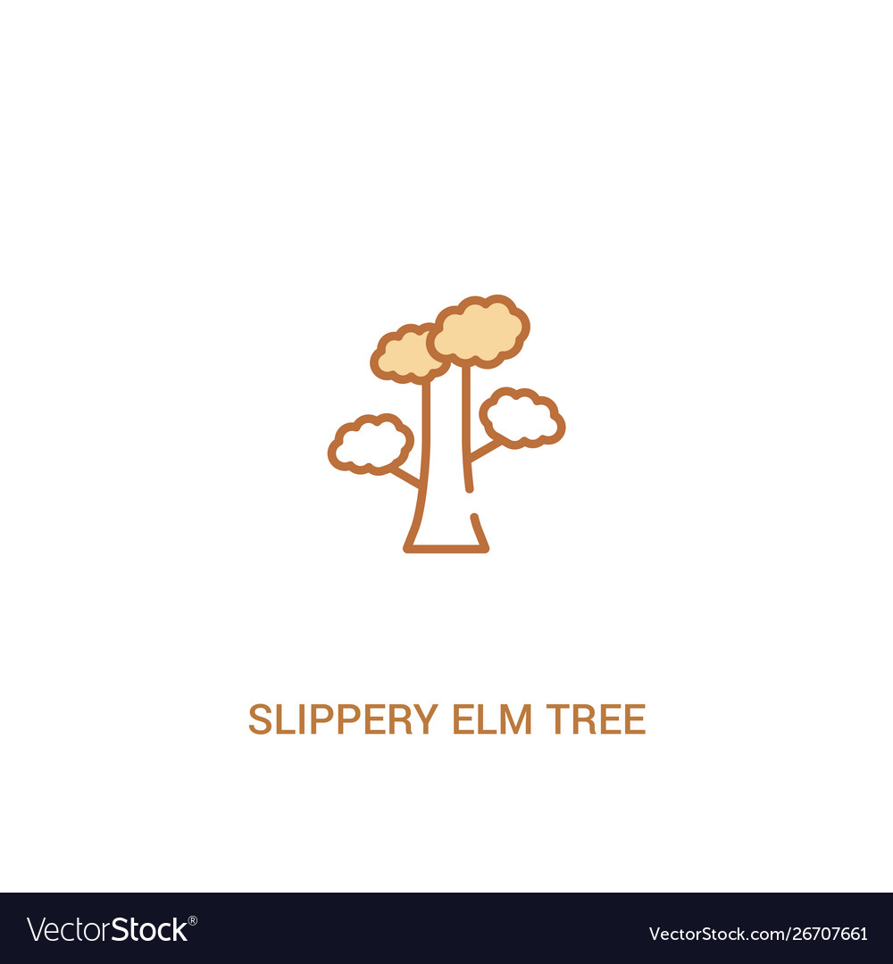 Slippery elm tree concept 2 colored icon simple vector image Slippery elm tree concept 2 colored icon simple
