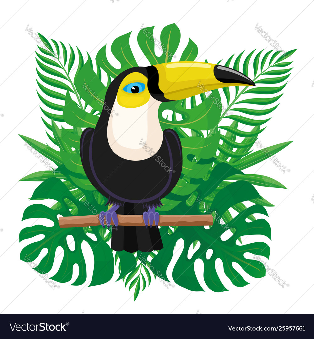 Toucan bird sitting on a branch